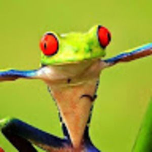 Meet your Posher, Randy